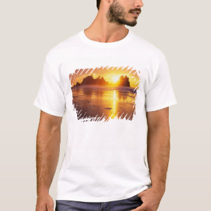Camiseta WA, Olimpiadas NP, Shi Shi praia no pôr do sol, P