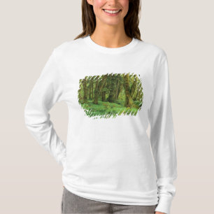 Camiseta WA, Parque Nacional Olímpico, Floresta Tropical Qu