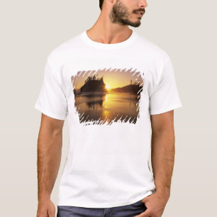 Camiseta WA, Parque Nacional Olympic, Segunda Praia ao pôr