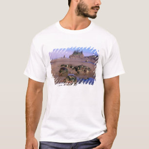 Camiseta WA, PN Olympic, Segunda Praia com poças de maré e