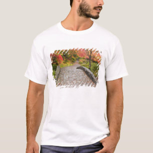 Camiseta WA, Seattle, Arboreto do Parque de Washington,
