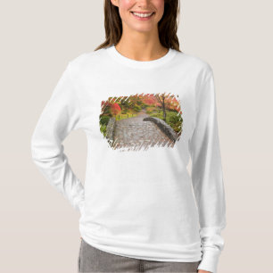 Camiseta WA, Seattle, Arboreto do Parque Washington,