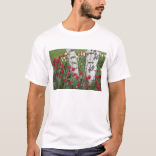 Camiseta WA, Skagit Valley, Roozengaarde Tulip Garden