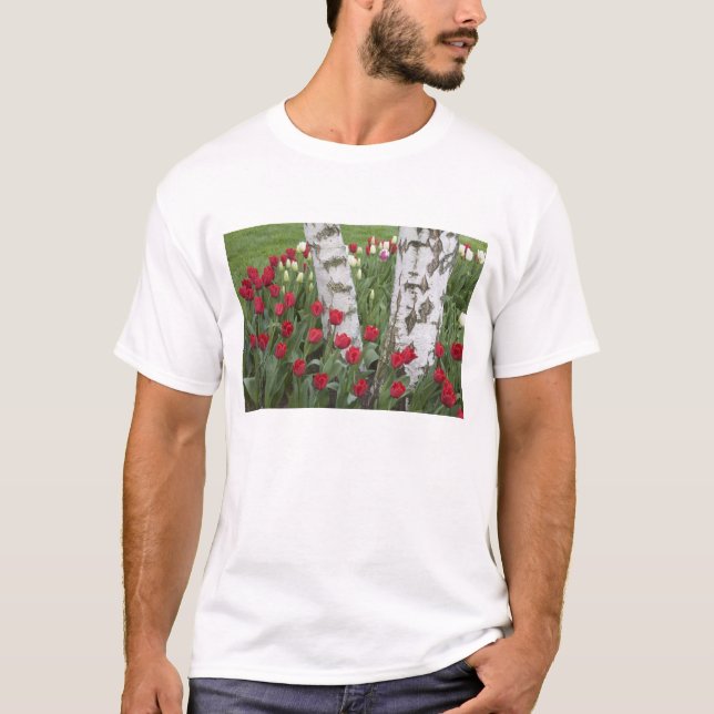 Camiseta WA, Skagit Valley, Roozengaarde Tulip Garden (Frente)