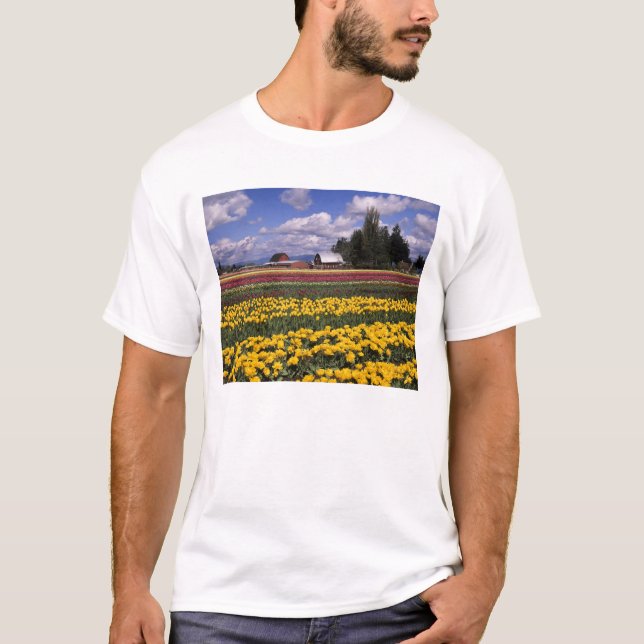 Camiseta WA, Skagit Valley, Skagit Valley Tulip (Frente)