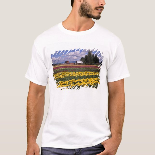 Camiseta WA, Skagit Valley, Skagit Valley Tulip (Frente)