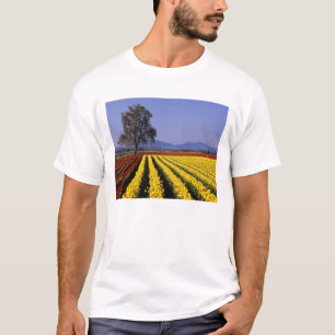 Camiseta WA, Skagit Valley, Skagit Valley Tulip 2
