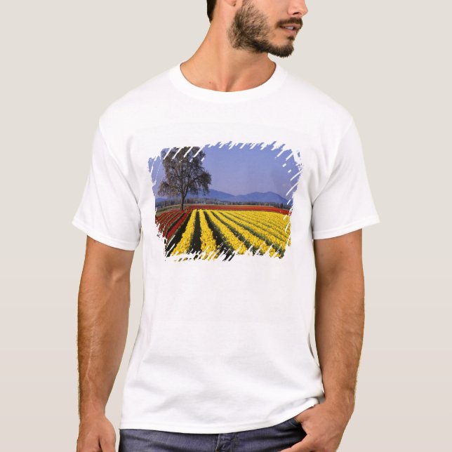 Camiseta WA, Skagit Valley, Skagit Valley Tulip 2 (Frente)