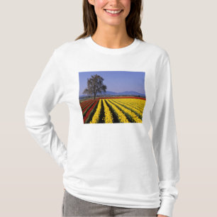 Camiseta WA, Skagit Valley, Skagit Valley Tulip 2