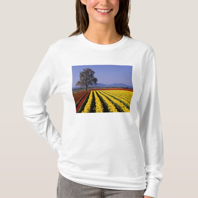 Camiseta WA, Skagit Valley, Skagit Valley Tulip 2 (Frente)