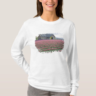 Camiseta WA, Vale do Skagit, Campo de Tulipas e Celeiro