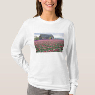 Camiseta WA, Vale do Skagit, Campo de Tulipas e Celeiro
