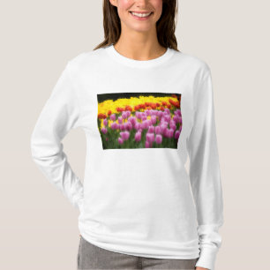 Camiseta WA, Vale do Skagit, Jardim de Tulipas Roozengaarde