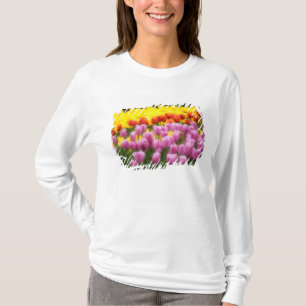 Camiseta WA, Vale do Skagit, Jardim de Tulipas Roozengaarde