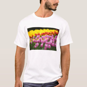 Camiseta WA, Vale do Skagit, Jardim de Tulipas Roozengaarde