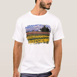 Camiseta WA, Vale do Skagit, Tulipa do Vale do Skagit