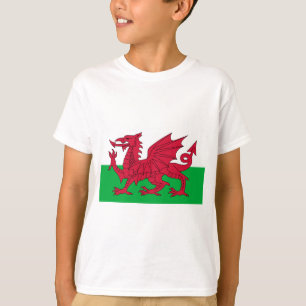 Camiseta wales