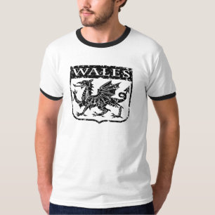 Camiseta Wales