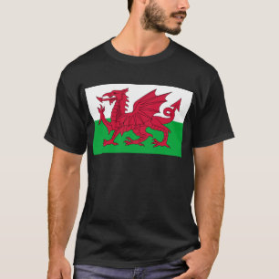 Camiseta wales