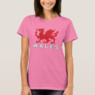 Camiseta WALES - dragão da bandeira