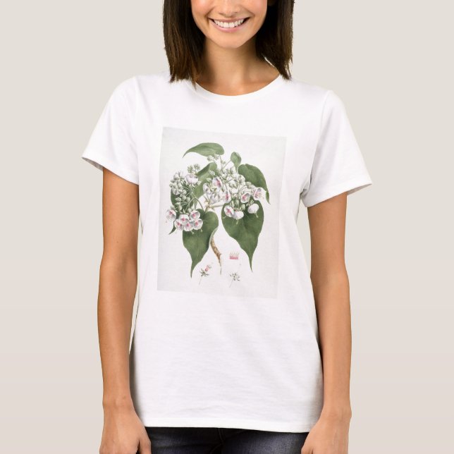 Camiseta Walkuffa No.5 Dombeya torrida (c/c sobre grafite o (Frente)