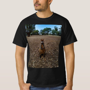 Camiseta Wallaby Australiano Segurando um Graveto,