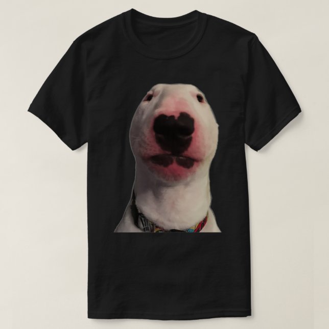 Camiseta Walter dog Meme Gift Premium (Frente do Design)