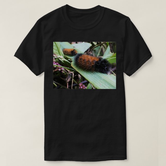 Camiseta Wandering Wooly Bears (Frente do Design)