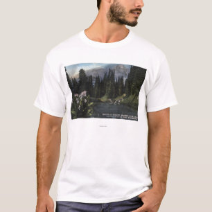 Camiseta Washington - parque nacional mais chuvoso, Sta de