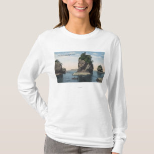 Camiseta Washington - vista do elogio & do Tatoosh do cabo