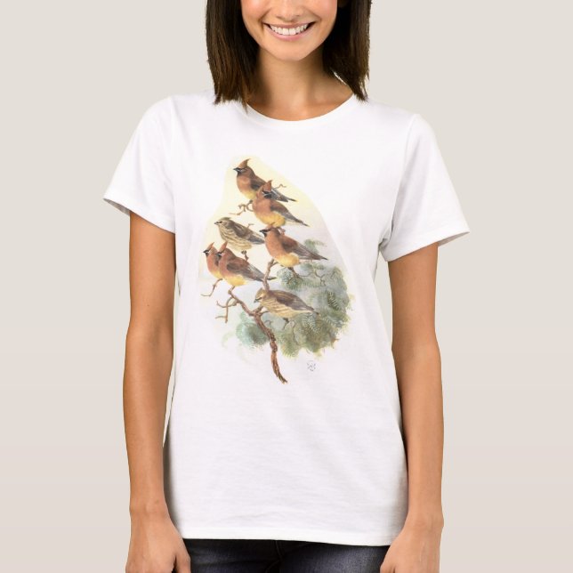 Camiseta waxwing de cedro (Frente)