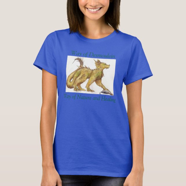 Camiseta Way Walkers T-Shirt — "Way of Healer-drake" (Frente)