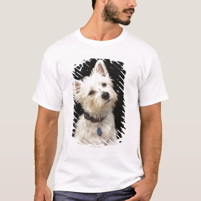 Camiseta Westie (terrier ocidental das montanhas) com colar (Frente)
