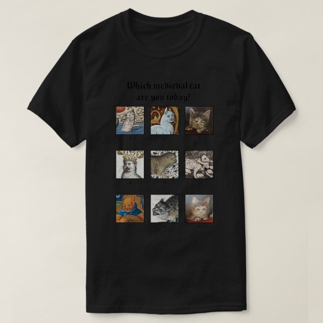 Camiseta Which medieval cat are you today  (Frente do Design)