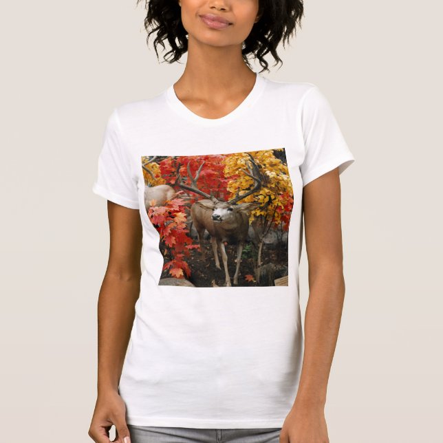 Camiseta Whitetail No Outono (Frente)