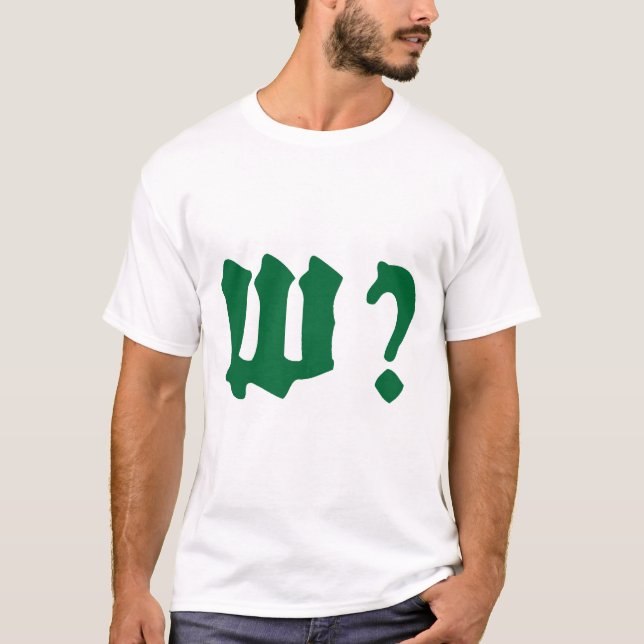 Camiseta why where when who (Frente)