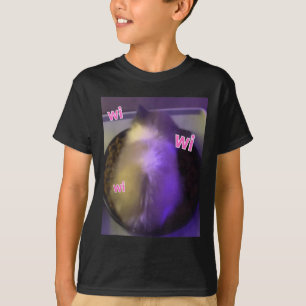 Camiseta Wi Gato Gatinho Gen Z Humor Engraçado Wi Gatinho C