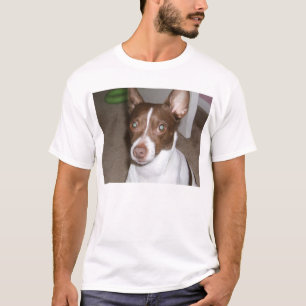 Camiseta wiz 1