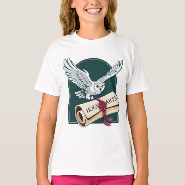 Camiseta Wizard Owl Mail Hogwarts (Frente)