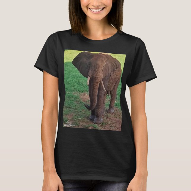 Camiseta Women’s Basic T-Shirt – African Elephant Portrait (Frente)