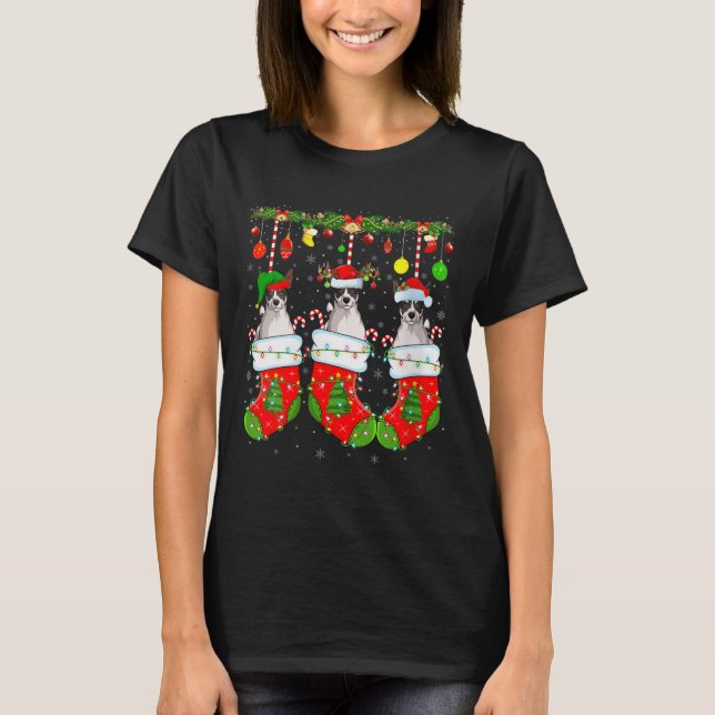 Camiseta Womens Russell Terrier Dog In Christmas Socks Funn (Frente)
