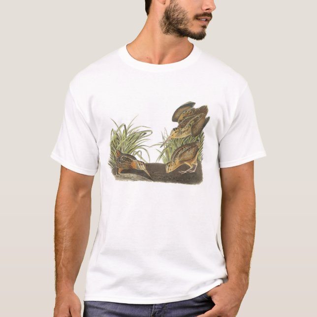Camiseta Woodcock Americano por Audubon (Frente)