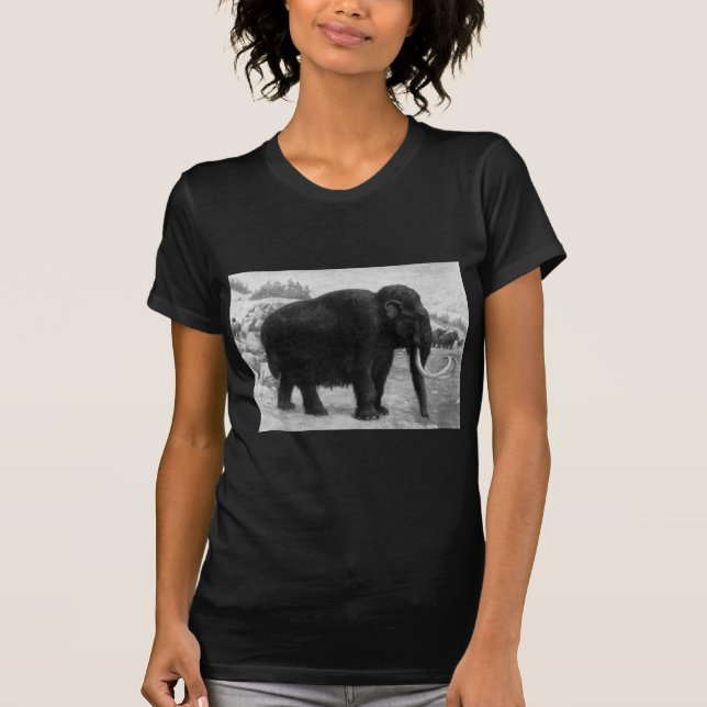 Camiseta Wooly Mammoth Mod Destiny (Frente)