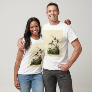 Camiseta Wren de inverno, Rock Wren, Aves da América de Aud