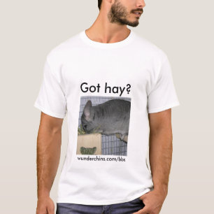 Camiseta Wunderchins obteve o feno--Homens