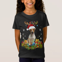 X-Mas Fox Natal Luzes Engraçadas Desenho Animal Se