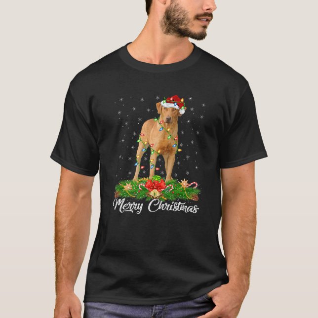 Camiseta Xmas Matando Santa Hat Chesapeake Bay Retriever C (Frente)