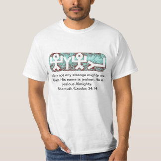 Camiseta Yahuah é omnipotente
