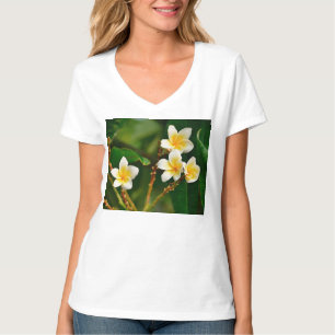 Camiseta Yellow Frangipani