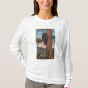 Camiseta Yellowstone, WYView do urso preto na árvore